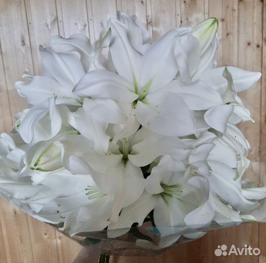 Букет из 9 белых Лилий