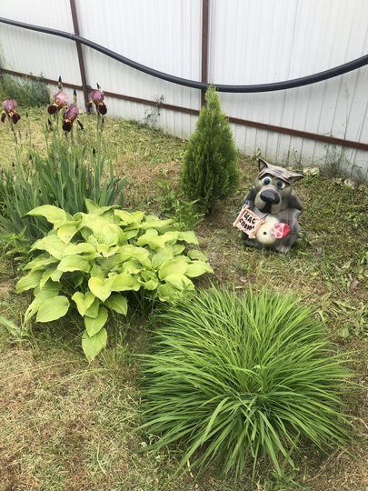 Дача 60 м² на участке 9 сот.