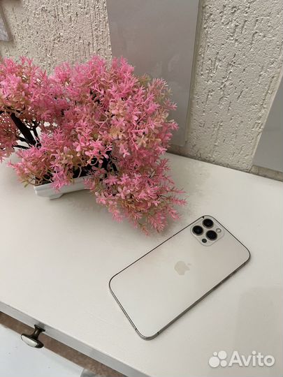 iPhone 12 Pro Max, 128 ГБ