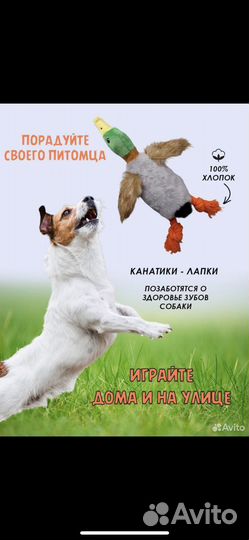 Игрушки для собак