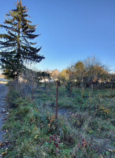 Участок 16,5 сот. (ИЖС)