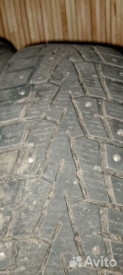 Nexen Winguard 195/65 R15