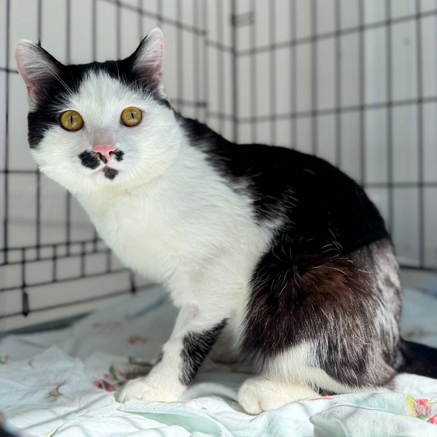 Саратов анал эскорты