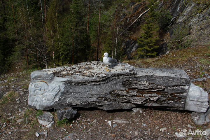 Экскурсии в Сортавала и Северном Приладожье