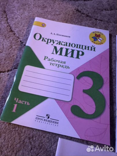 Рабочая тетрадь окружающий мир 3 класс плешаков