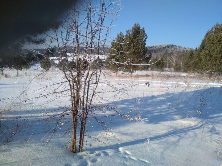 Участок 45 сот. (СНТ, ДНП)