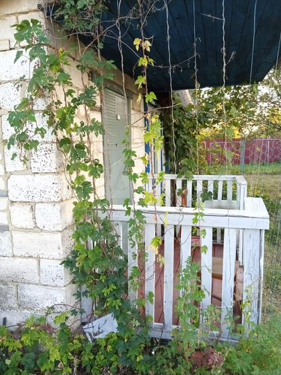 Дача 56 м² на участке 6,6 сот.