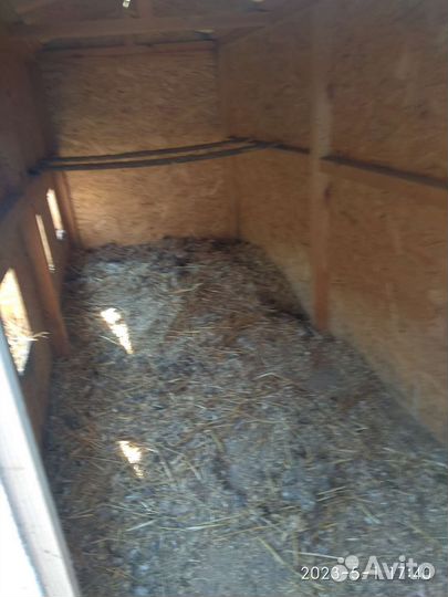 Курятник летний с гнездами