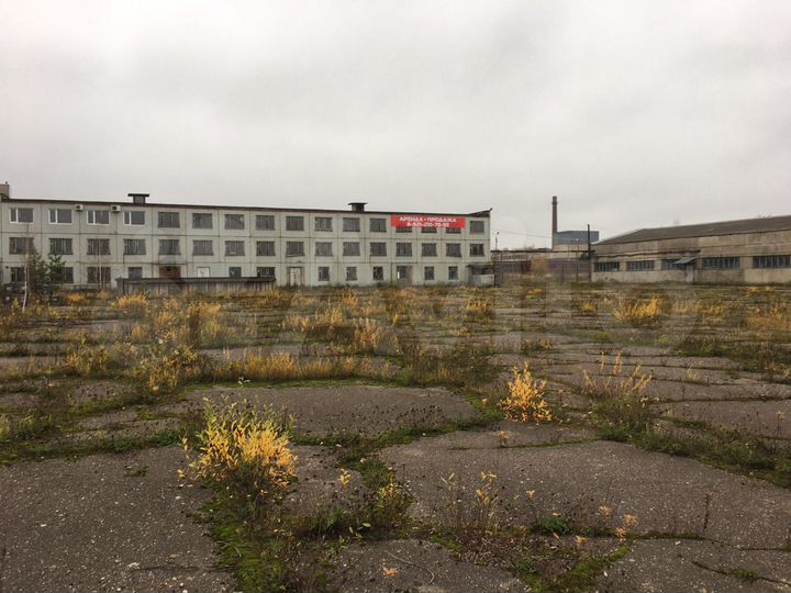 Производство, 5000 м²