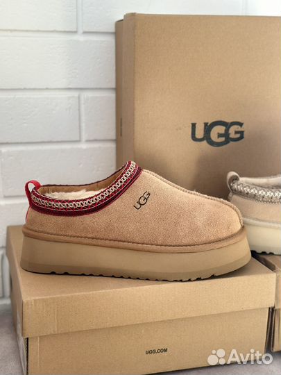 Угги Ugg tazz tasman
