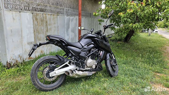 Regulmoto Alien Monster 300
