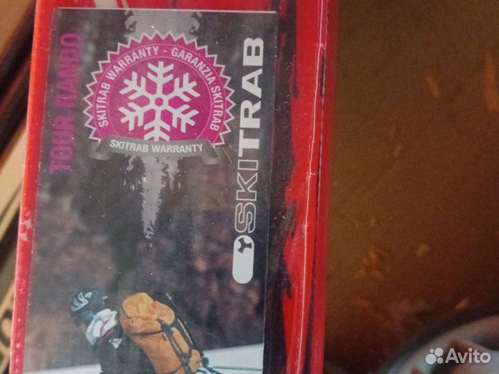 Горные лыжи