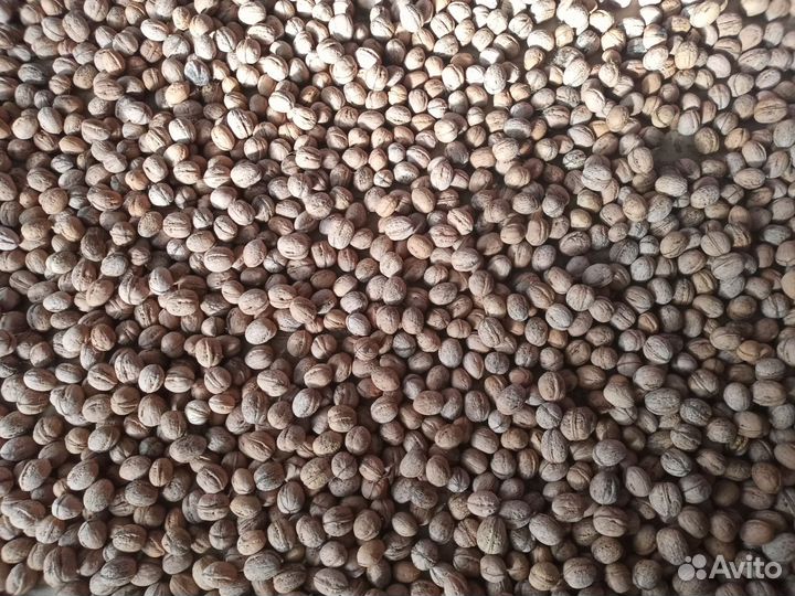 Грецкий орех