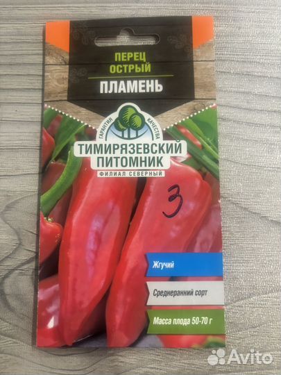 Рассада острого перца