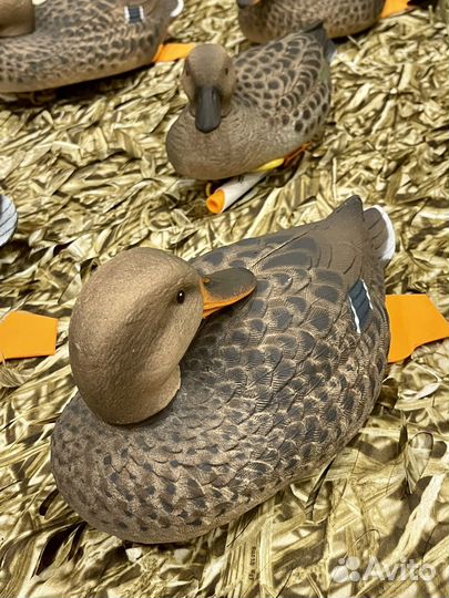 Чучела кряковых уток в сумке