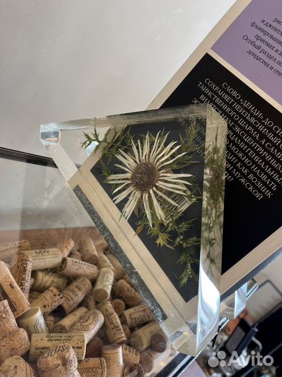 Букэнды/подставки для книг винтаж. Германия