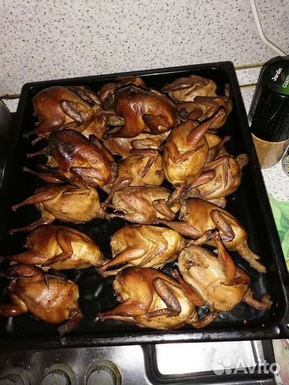 Копченое и свежее мясо перепела, под заказ