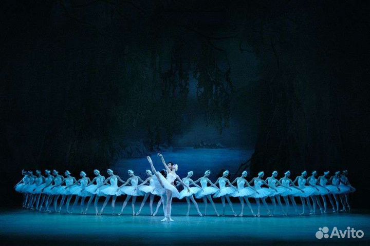 Билеты лебединое озеро Мариинский театр Июль обн