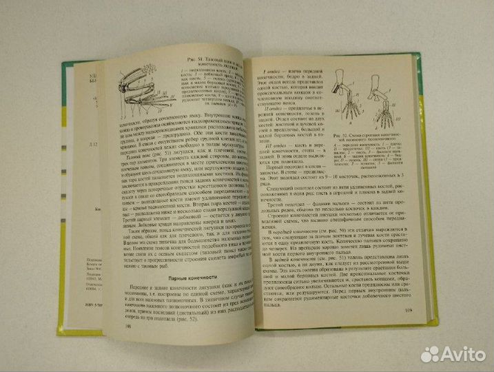 В.М. Константинов. Лабораторный практикум по зооло