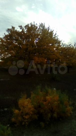 Участок 9 сот. (ИЖС)