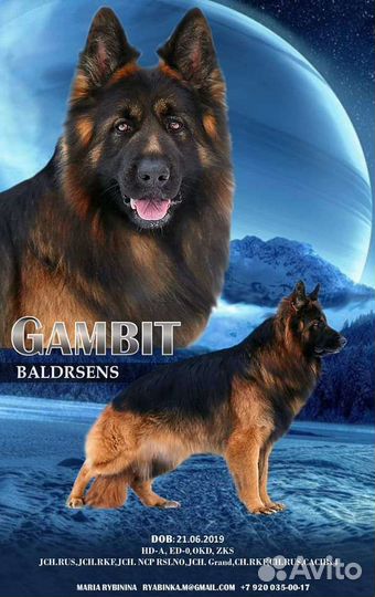 Открыт для вязок