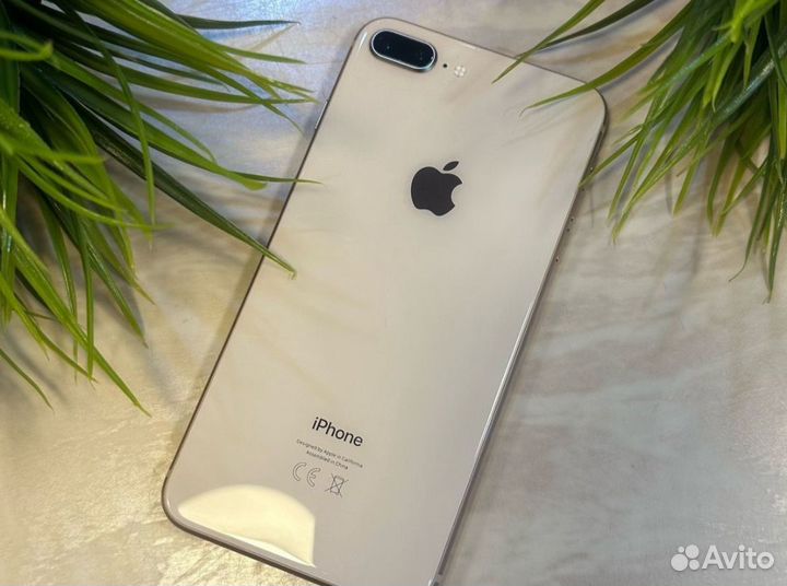 iPhone 8 Plus, 256 ГБ