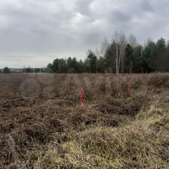 Участок 6 сот. (СНТ, ДНП)