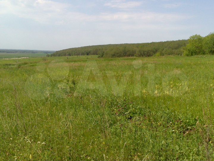 Участок 15 сот. (ИЖС)