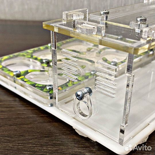 Муравьиная ферма mini