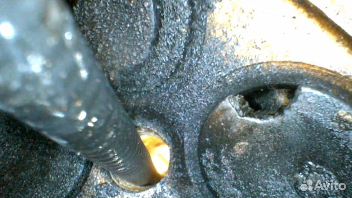 Эндоскоп аренда