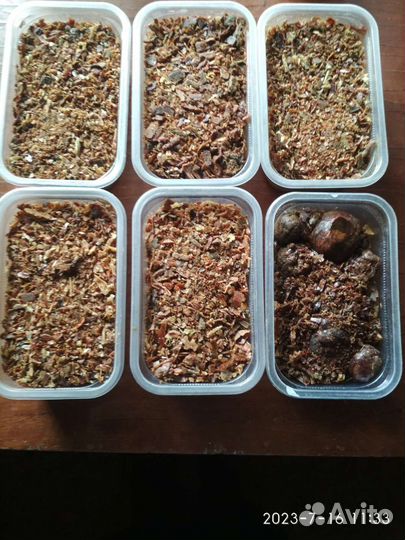 Прополис пчелиный