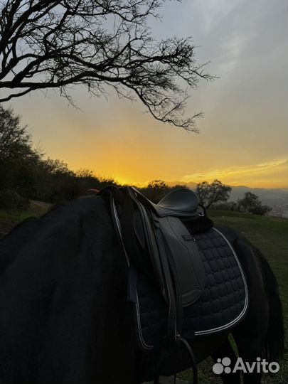 Валтрап потник для лошади
