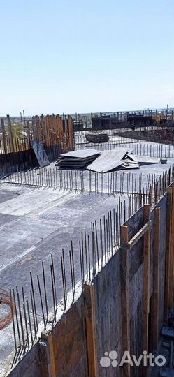 Бригада моноличики