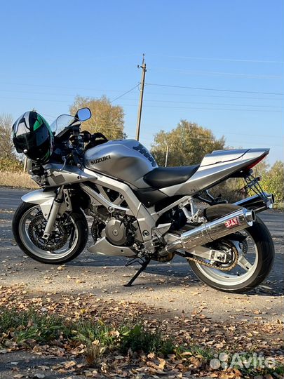 Suzuki sv1000s