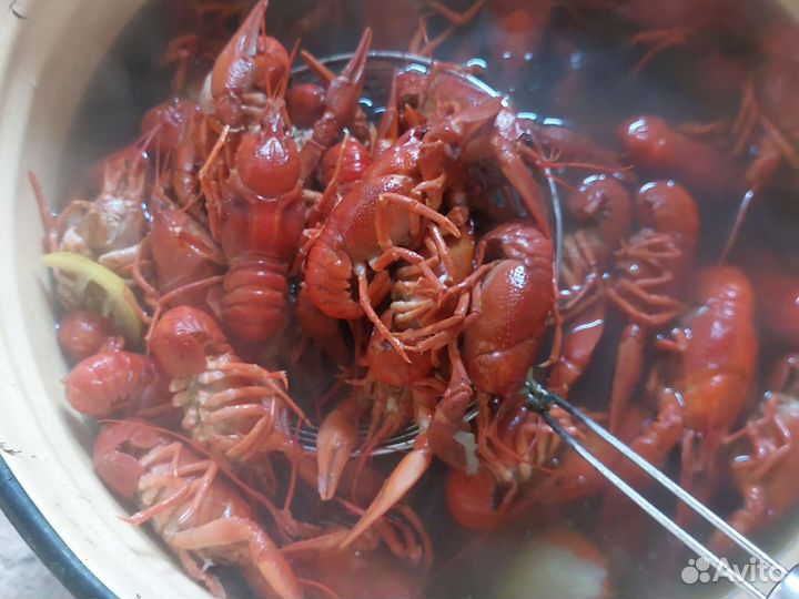 Варёные раки