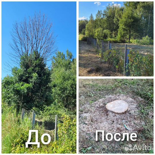 Покос травы