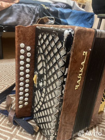 Гармонь чайка 2