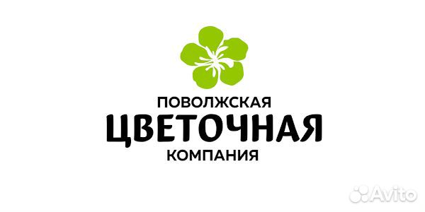 Ночной охранник