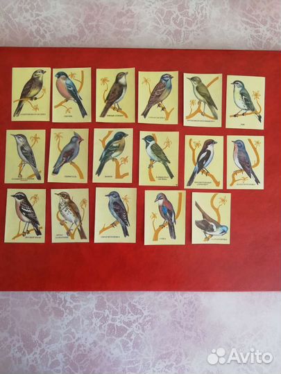 Спичечные Этикетки СССР лот 2