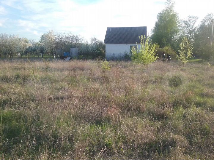 Участок 15 сот. (ИЖС)