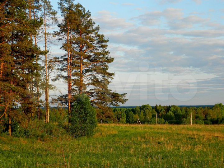 Участок 10 сот. (СНТ, ДНП)