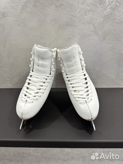 Коньки Edea chorus 245 на Legacy 9 1/4