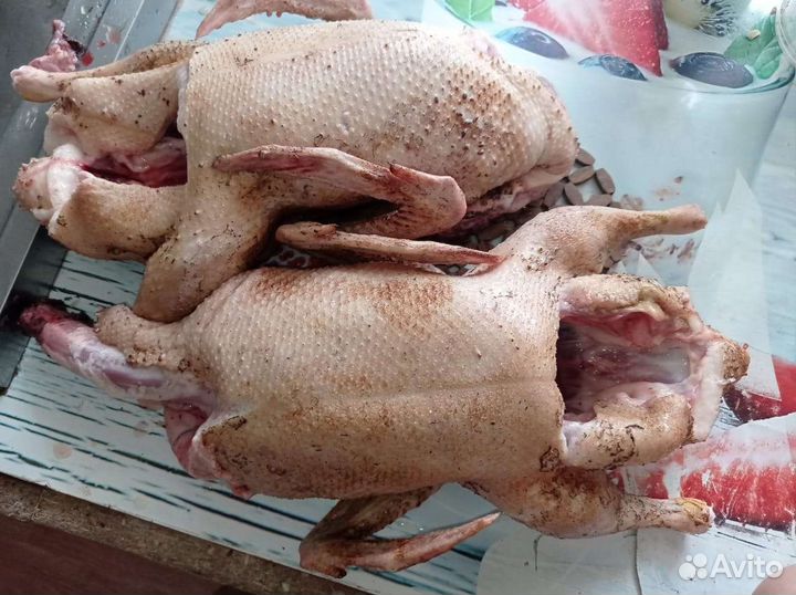 Продукты питания