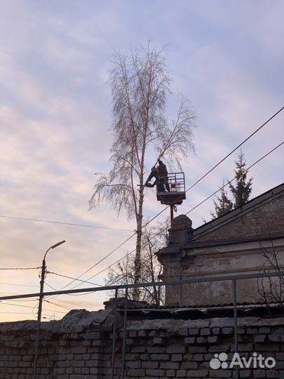 Спил деревьев, удаление, аварийные, сухие