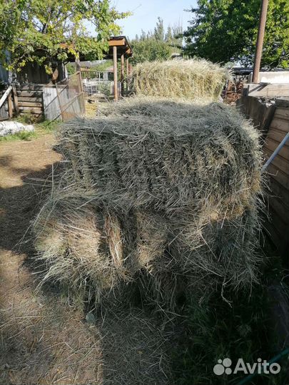Сено в тюках