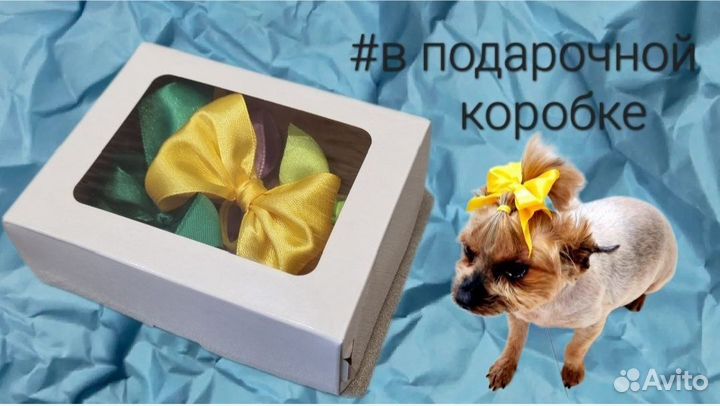 Бантики для собак