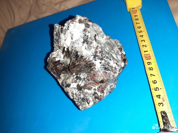 Астрофилит