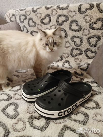 Crocs мужские