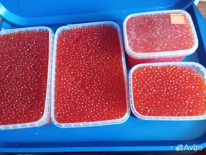 Икра Красная Кеты и Чавычи за 1 кг - 2500 (1 сорт)