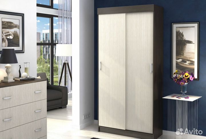 Шкаф-купе Эконом евро